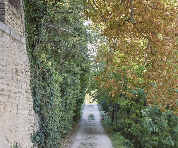 Lane in Gault France