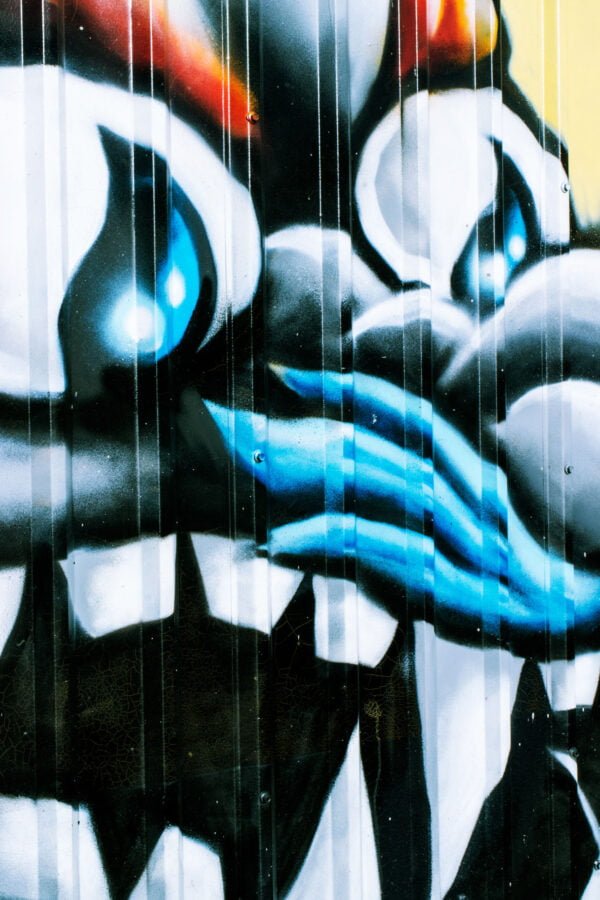 Graffiti of a monster