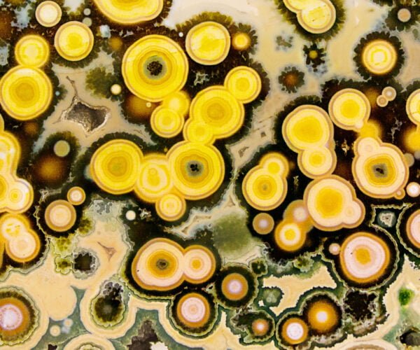 Brightly colored rock